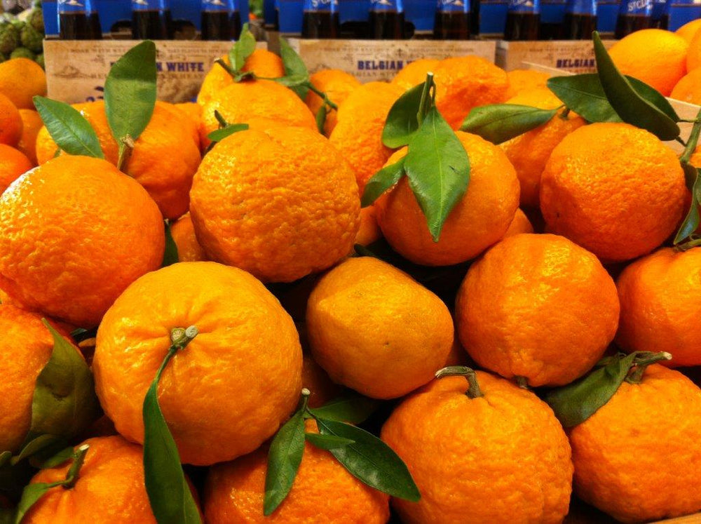 Seedless Mandarins 1kg